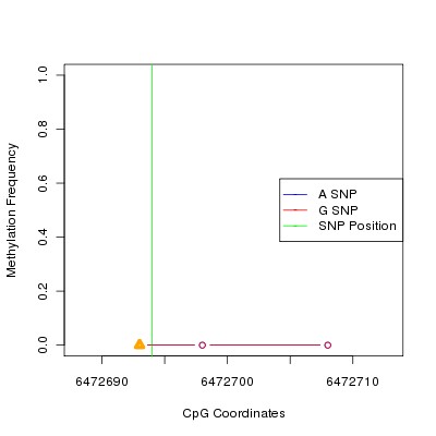 Allele Specific Methylation Frequency Diagram for chr12 6472694 SNP.