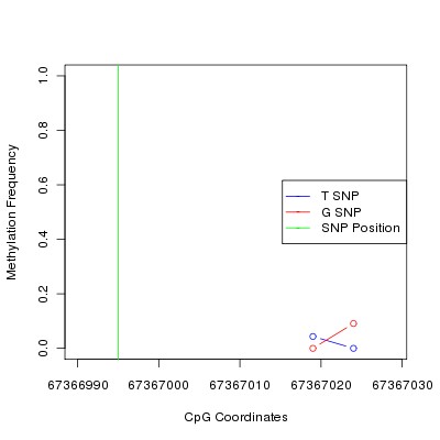 Allele Specific Methylation Frequency Diagram for chr12 67366995 SNP.