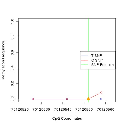 Allele Specific Methylation Frequency Diagram for chr12 70120552 SNP.