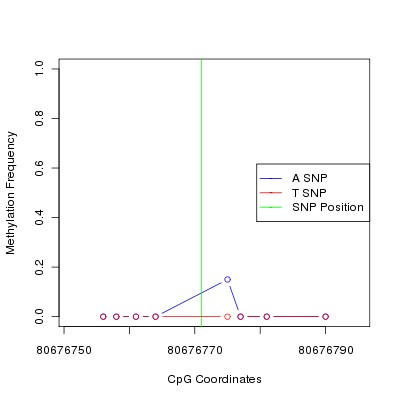 Allele Specific Methylation Frequency Diagram for chr12 80676771 SNP.