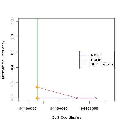 Allele Specific Methylation Frequency Diagram for chr12 94466038 SNP.