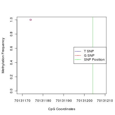 Allele Specific Methylation Frequency Diagram for chr14 70131204 SNP.