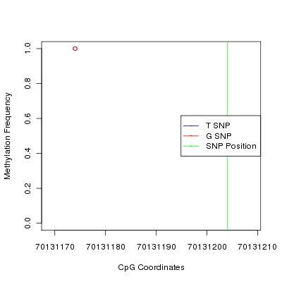 Allele Specific Methylation Frequency Diagram for chr14 70131204 SNP.