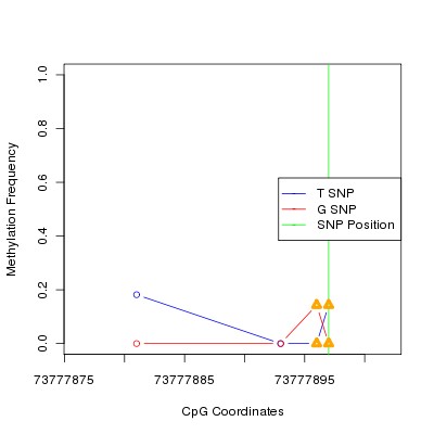 Allele Specific Methylation Frequency Diagram for chr14 73777897 SNP.