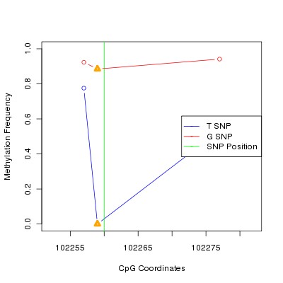 Allele Specific Methylation Frequency Diagram for chr18 102260 SNP.