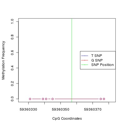 Allele Specific Methylation Frequency Diagram for chr19 59360357 SNP.