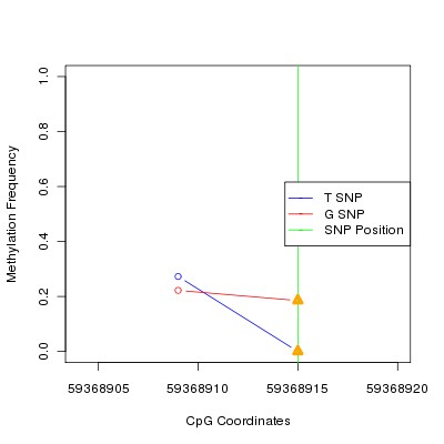 Allele Specific Methylation Frequency Diagram for chr19 59368915 SNP.