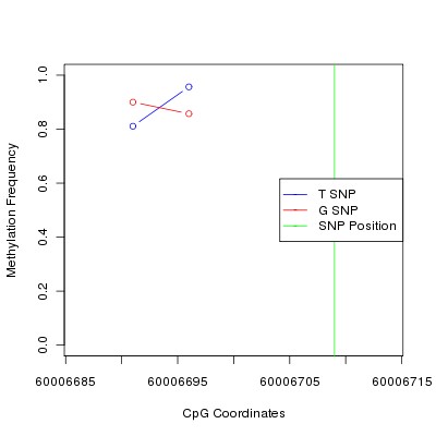 Allele Specific Methylation Frequency Diagram for chr19 60006709 SNP.