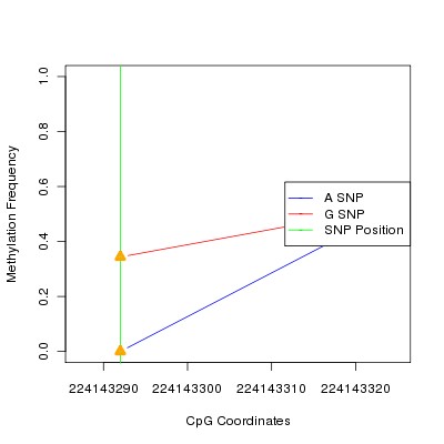 Allele Specific Methylation Frequency Diagram for chr1 224143292 SNP.