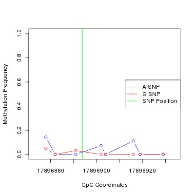 Allele Specific Methylation Frequency Diagram for chr20 17896894 SNP.