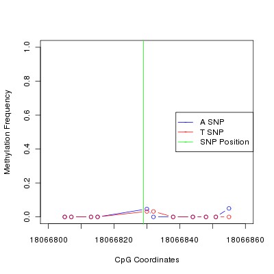 Allele Specific Methylation Frequency Diagram for chr20 18066829 SNP.