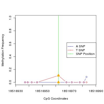 Allele Specific Methylation Frequency Diagram for chr20 18516962 SNP.