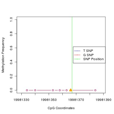 Allele Specific Methylation Frequency Diagram for chr20 19981367 SNP.