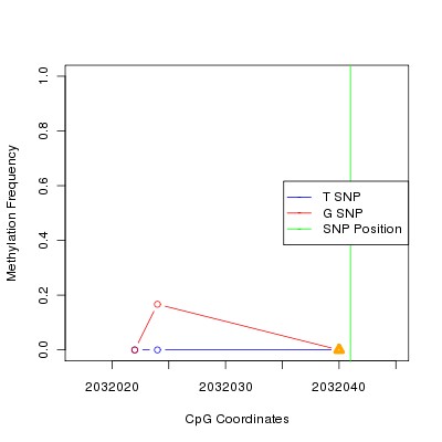 Allele Specific Methylation Frequency Diagram for chr20 2032041 SNP.