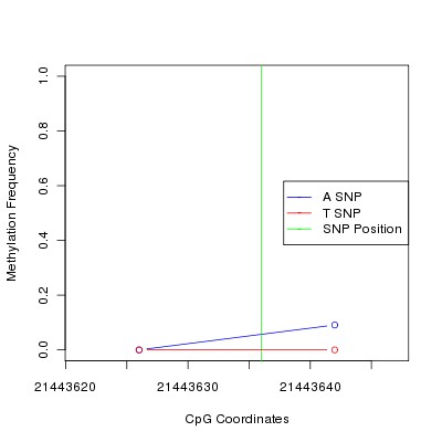 Allele Specific Methylation Frequency Diagram for chr20 21443636 SNP.