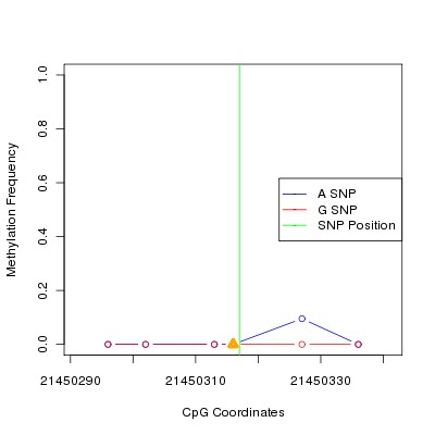 Allele Specific Methylation Frequency Diagram for chr20 21450317 SNP.