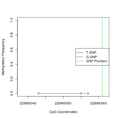 Allele Specific Methylation Frequency Diagram for chr20 22980061 SNP.