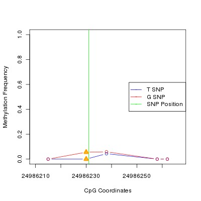 Allele Specific Methylation Frequency Diagram for chr20 24986231 SNP.