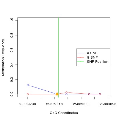 Allele Specific Methylation Frequency Diagram for chr20 25009813 SNP.