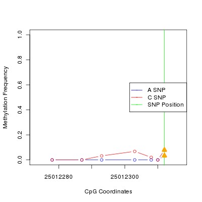 Allele Specific Methylation Frequency Diagram for chr20 25012312 SNP.