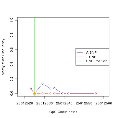 Allele Specific Methylation Frequency Diagram for chr20 25012525 SNP.