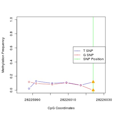 Allele Specific Methylation Frequency Diagram for chr20 28226024 SNP.