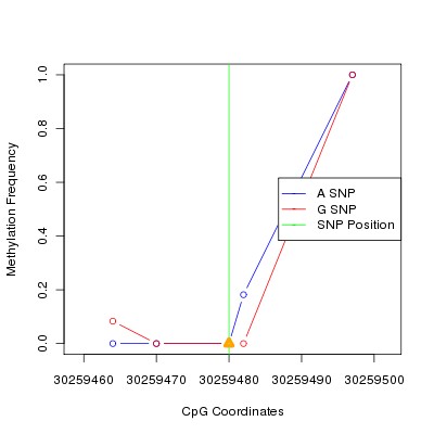 Allele Specific Methylation Frequency Diagram for chr20 30259480 SNP.