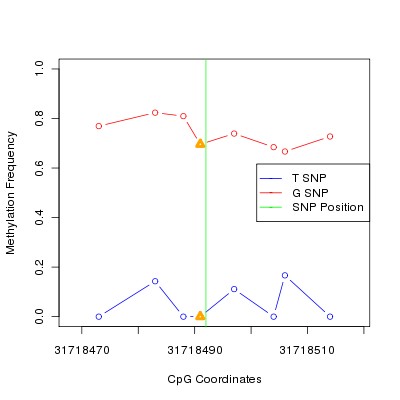 Allele Specific Methylation Frequency Diagram for chr20 31718492 SNP.