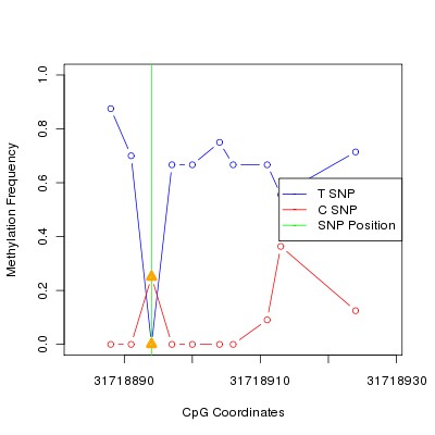 Allele Specific Methylation Frequency Diagram for chr20 31718894 SNP.