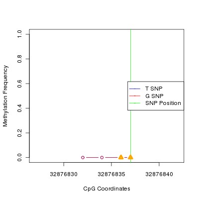 Allele Specific Methylation Frequency Diagram for chr20 32876837 SNP.