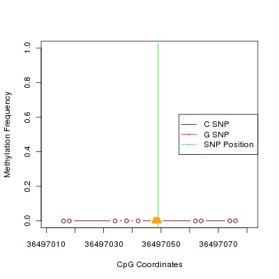 Allele Specific Methylation Frequency Diagram for chr20 36497049 SNP.