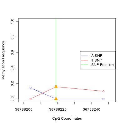 Allele Specific Methylation Frequency Diagram for chr20 36788219 SNP.