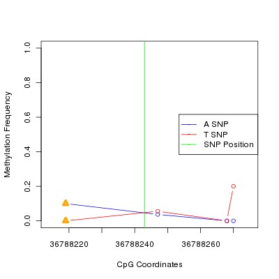 Allele Specific Methylation Frequency Diagram for chr20 36788243 SNP.