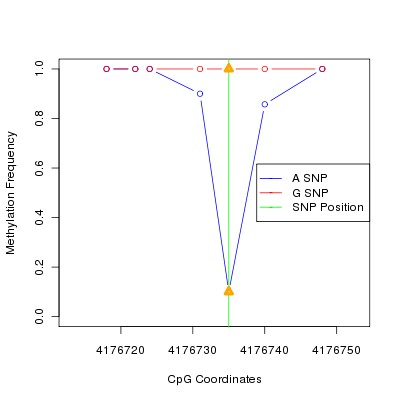 Allele Specific Methylation Frequency Diagram for chr20 4176735 SNP.