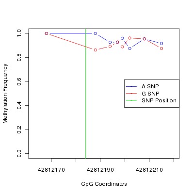 Allele Specific Methylation Frequency Diagram for chr20 42812184 SNP.