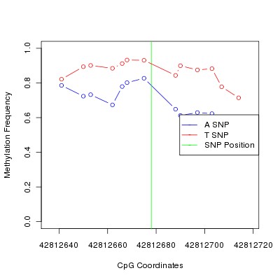 Allele Specific Methylation Frequency Diagram for chr20 42812678 SNP.