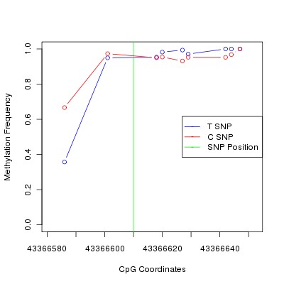 Allele Specific Methylation Frequency Diagram for chr20 43366610 SNP.