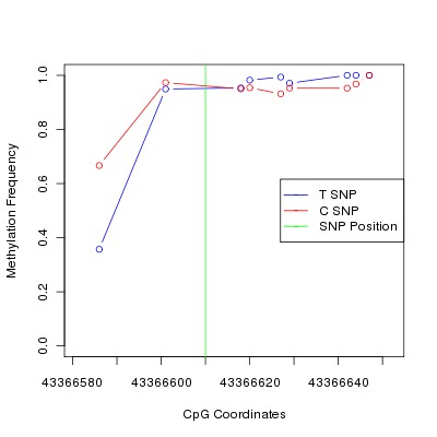 Allele Specific Methylation Frequency Diagram for chr20 43366610 SNP.