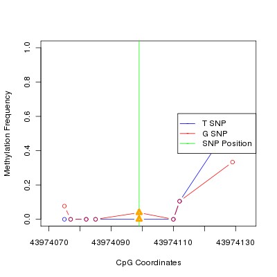 Allele Specific Methylation Frequency Diagram for chr20 43974099 SNP.