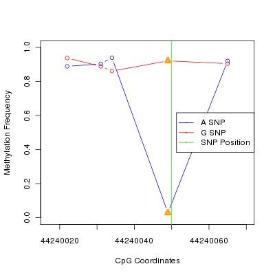 Allele Specific Methylation Frequency Diagram for chr20 44240050 SNP.