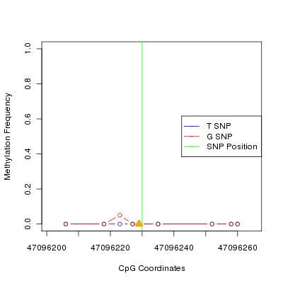 Allele Specific Methylation Frequency Diagram for chr20 47096230 SNP.