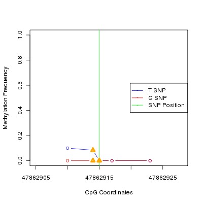 Allele Specific Methylation Frequency Diagram for chr20 47862915 SNP.