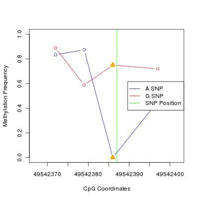 Allele Specific Methylation Frequency Diagram for chr20 49542387 SNP.