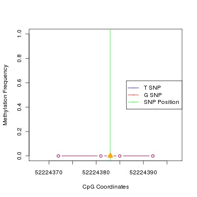 Allele Specific Methylation Frequency Diagram for chr20 52224383 SNP.