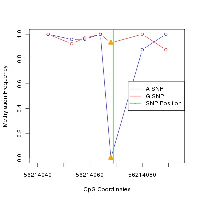 Allele Specific Methylation Frequency Diagram for chr20 56214069 SNP.