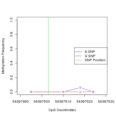 Allele Specific Methylation Frequency Diagram for chr20 56397503 SNP.