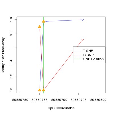 Allele Specific Methylation Frequency Diagram for chr20 59889786 SNP.