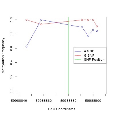 Allele Specific Methylation Frequency Diagram for chr20 59988880 SNP.