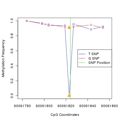 Allele Specific Methylation Frequency Diagram for chr20 60061824 SNP.