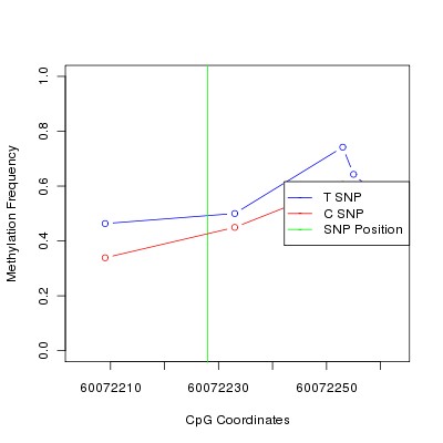 Allele Specific Methylation Frequency Diagram for chr20 60072228 SNP.